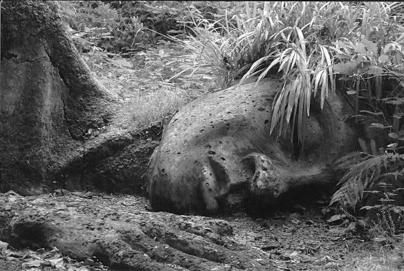 Scanned Image 152730000