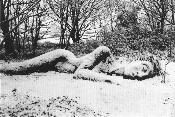 Scanned Image 152730001