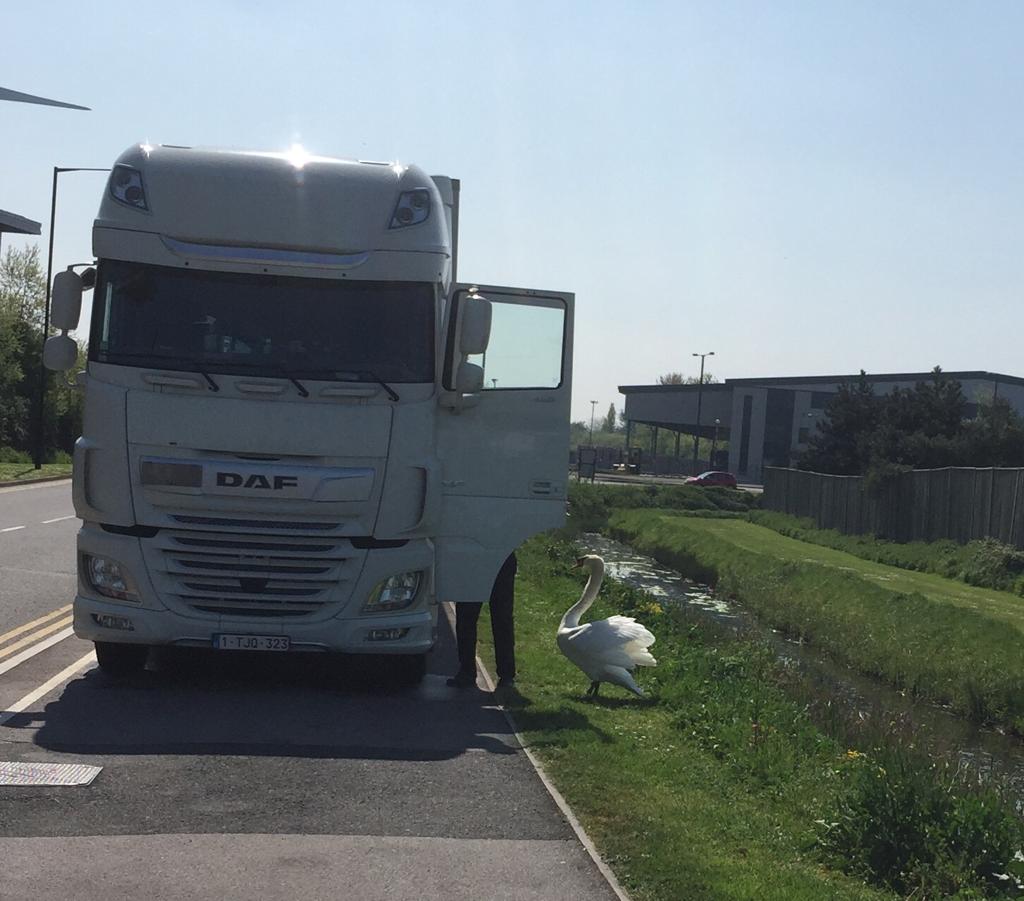 8a4e2b94-b2d8-4139-9d17-64f292d78965